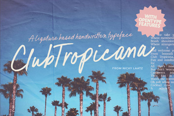 Club Tropicana Font main product image by Nicky Laatz