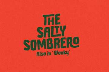 Salty Sombrero Typeface preview image 16 by Nicky Laatz