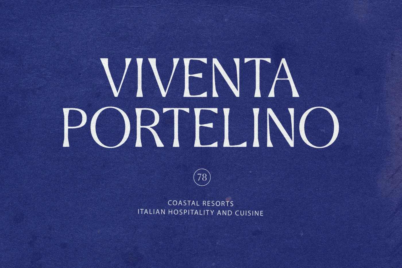 Preview image 21 - Stylish Aesthetic Sans Family (Font) by Nicky Laatz