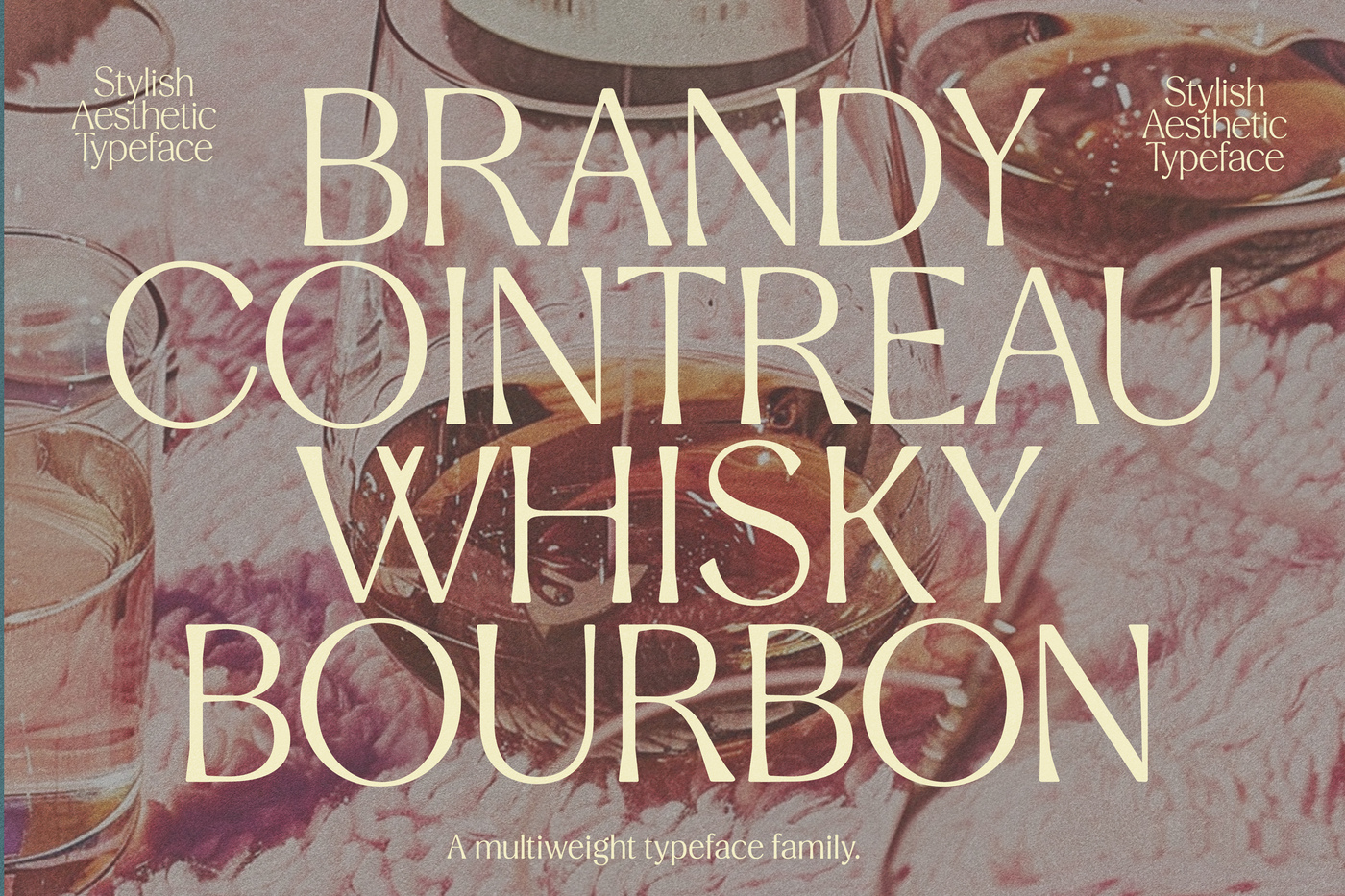 Preview image 11 - Stylish Aesthetic Sans Family (Font) by Nicky Laatz